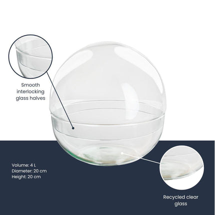 Terrarium – Glaskuppel Dome – zweiteilig – Ø20cm ↕20cm – Runde Glasflasche aus Recyclingglas – Ideal für DIY – Pflanzenterrarien & Mini – Ökosysteme