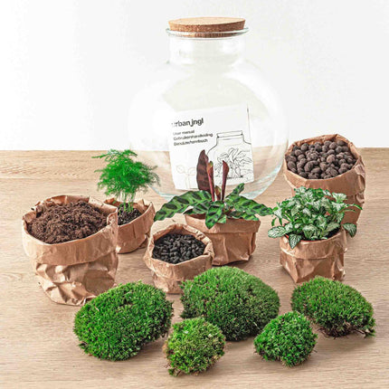 Flaschengarten DIY Bausatz Bolder Bob – Terrarium Ø31cm x H30cm – Do – It – Yourself Pflanzterrarium – Autarkes Mini – Ökosystem