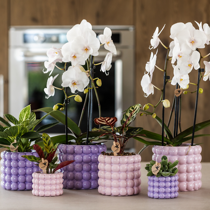 Ziertopf Poppy – Purple – Ø9cm – Moderner Keramik Blumentopf in glänzendem Violett – Stilvoller Übertopf für Zimmerpflanzen, Sukkulenten & Orchideen