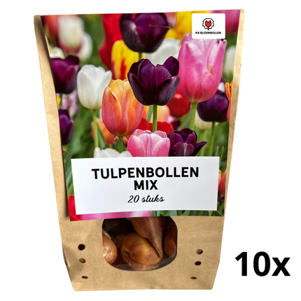 Tulpenzwiebel-Mix – 200 Tulpenzwiebeln (10 Beutel à 20 Stück) – Farbenfrohe Mischung in verschiedenen Sorten – Blumenzwiebeln Ideal für Garten, Beet & Topf – Frische Frühjahrspflanzung