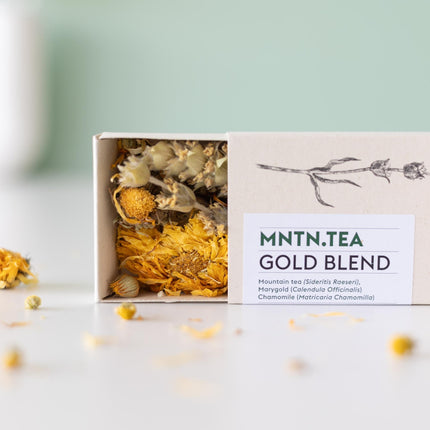 Teepause Geschenkset – Bio Gold Blend Tee & Baby-Teepflanze Camellia sinensis – Briefkastengeschenk – Nachhaltig & plastikfrei – Inkl. Pflegetipps – Für Teeliebhaber