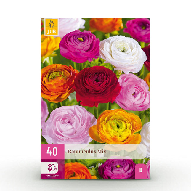 Blumenzwiebeln Ranunculus Butterblume Mix – 40 Blumenzwiebeln – Verschiedene Farben – Butterblumen für Beet, Balkon & Terrasse