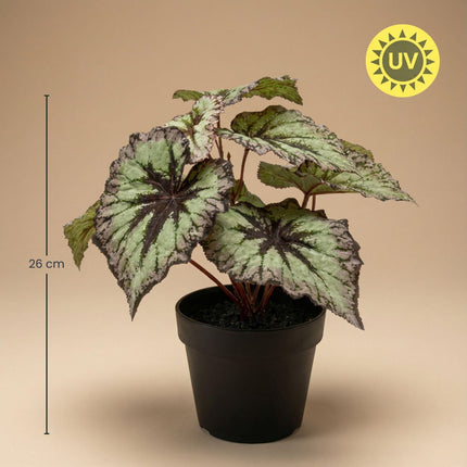 Begonie Kunstpflanze – ca.26cm – Grau – violette Blätter – UV – beständig – Künstliche Pflanze im Topf