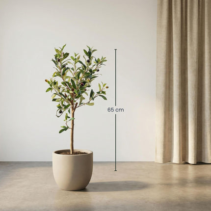 Künstlicher Olivenbaum 65cm – Mediterrane Kunstpflanze – Pflegefreie Dekopflanze – Realistische Blätter – Für Wohnzimmer Balkon Büro Schlafzimmer