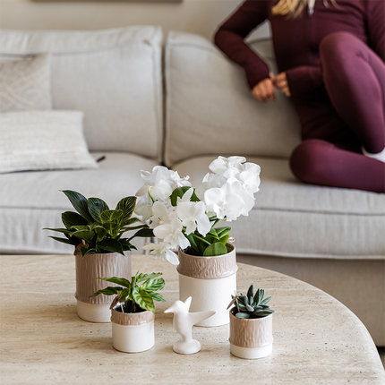 Übertopf Tree sand Ø9cm – Blumentopf mit dezentem Relief – neutraler Keramik – Übertopf für kleine Zimmerpflanzen, Orchideen & Sukkulenten