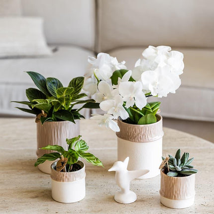 Bamboo Übertopf Sand – Blumentopf Ø9cm – Naturfarbener Pflanztopf mit Bambusstruktur – Moderner Übertopf für Orchideen Zimmerpflanzen & Deko