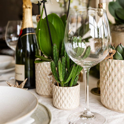 Pflanzen Set mit Zierpflanzgefäßen für Tischdekoration – Elegante Mini Zimmerpflanzen im Topf Ø9cm & Ø6cm – Perfekt für festliche Dinner – Dekoration