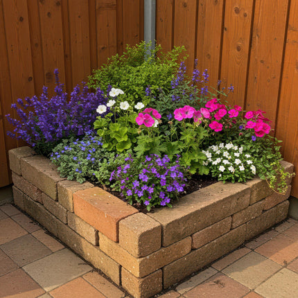 Staudenpaket – Bodendecker – 8 Stauden für 1 m² – Farbige Blühstauden – Pflegeleicht – Unkrauthemmend – Für sonnige Standorte – Topf Ø11 cm