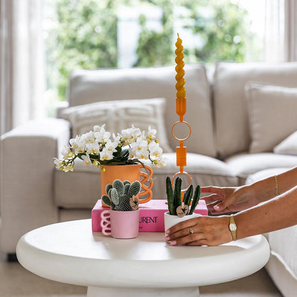 Weiße Phalaenopsis Orchidee Nazaré – Ø9cm – Elegante Zimmerpflanze – Pflegeleicht & Blühfreudig – Ideal für Küche, Wohnzimmer & Büro