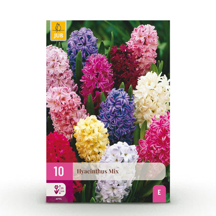 Blumenzwiebeln Hyazinthen Mix – 10 Stück – Duftende Hyacinthus in verschiedenen Farben – Zwiebelgröße 14/15 – Für Beet, Balkon & Terrasse – Pflegeleicht