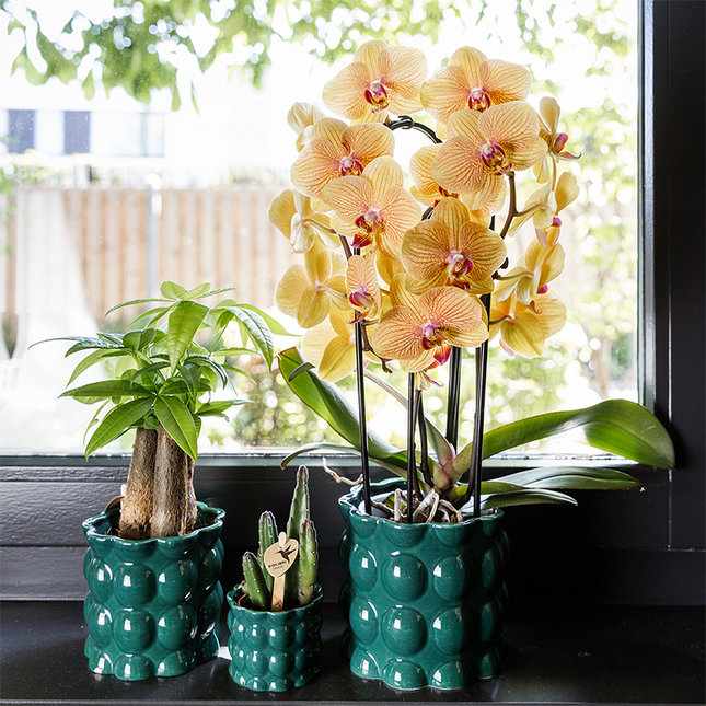 Übertopf Cotton Shine grün Ø9cm – Blumentopf mit Blasenrelief – hochglänzender Retro – Übertopf im 70er – Design – Pflanzenübertopf
