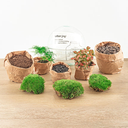 DIY Flaschengarten Set – Dome Glas Rot – Ø20cm x H20cm – Selbstversorgendes Pflanzterrarium mit Fittonia, Spargel & Moos – Mini – Pflegeleicht