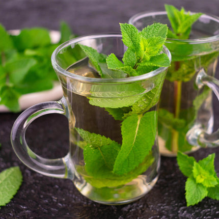 Staudenset „Teekräuter“ – 8 aromatische Kräuterstauden für ca. 1 m² – Für frischen Kräutertee aus dem eigenen Garten – Pflegeleichtes Kräuterpaket – Ø11 cm