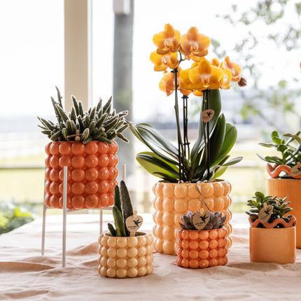 Weißer Metall – Pflanzenständer Ø12cm – Blumentopfständer aus Metall – Pflanzenhalter für Zimmerpflanzen – Stabil, stilvoll & vielseitig