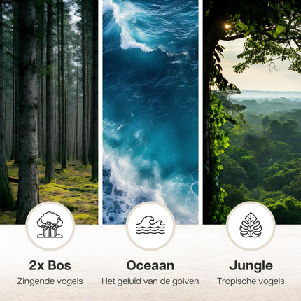 Melodiez Musikbox Weiß – Naturklänge mit Bewegungssensor – Kompakte Soundbox für beruhigende Vogelstimmen, Meeresrauschen & Dschungelklänge