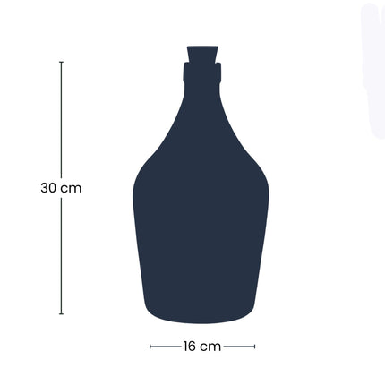 Love in a Bottle DIY Pflanzenterrarium Ø16cm Höhe30cm – Offenes Flaschenterrarium mit Hoya Kerrii Herzpflanze – Sukkulenten Set