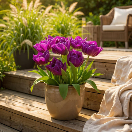 Blumenzwiebeln Tulipa Double Lilac – Lila – 12 Stück – Zwiebelgröße 11/12 – Gefüllte Tulpenzwiebeln für Garten, Balkon & Terrasse – Frühjahrsblüher