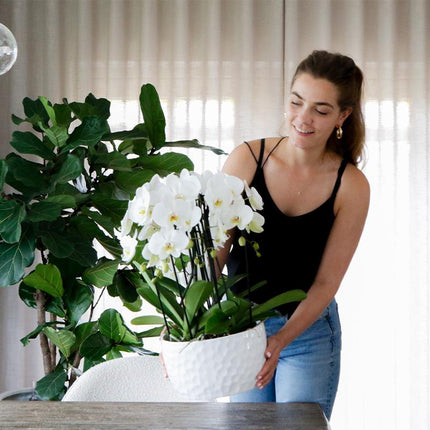 Keramik-Pflanzschale mit Honig-Muster – Pflanzgefäß – Ø30 cm – Dekorativer Blumentopf – Für Orchideen & Zimmerpflanzen