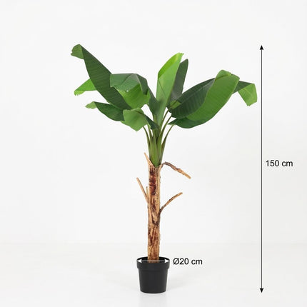 Bananenpflanze Musa Kunstpflanze 150cm – Tropische Deko Pflanze – Pflegefreie Kunstpalme für Wohnzimmer Büro & Empfangsbereich