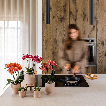 Rustic Zierpflanztopf Sand – Ø9cm – Kleiner Blumentopf in natürlichem Sandton – Organische Form im Slow Living Stil – Für Innenräume & dezente Wohnakzente