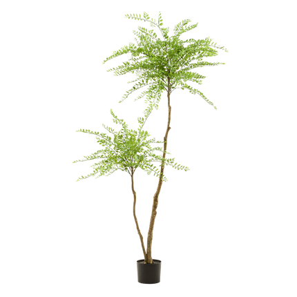 Kunstpflanze Sophora Baum – Honingbaum – 190 cm – Dekorativer Zimmerbaum – Pflegeleicht – Wohnzimmer, Büro & Flur