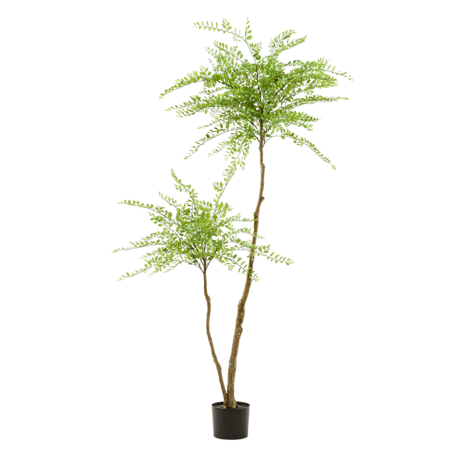 Kunstpflanze Sophora Baum – Honingbaum – 190 cm – Dekorativer Zimmerbaum – Pflegeleicht – Wohnzimmer, Büro & Flur