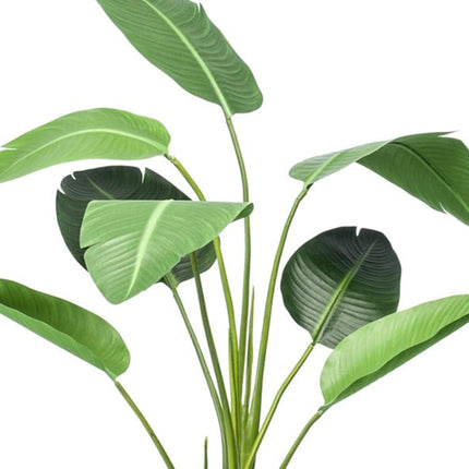 Strelitzia Kunstpflanze – 120cm – schwarzer Topf – Tropischer Zimmerpflanzen – Look ohne Pflege – Große Deko-Pflanze für Wohnzimmer, Büro & Flur
