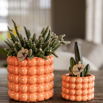 Poppy Pflanztopf – Orange – Ø9cm – Dekorativer Übertopf in Keramikoptik – Moderner Blumentopf für Zimmerpflanzen & Orchideen – Stilvolles Wohnaccessoire