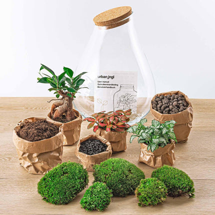 Flaschengarten DIY Bausatz Terrarium