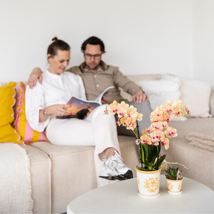 Topf Malaga Light Orange – Ø9cm – Dekorativer Keramik-Übertopf mit sommerlichem Design – Handgemacht wirkender Look – Robust & langlebig – Perfekt für Zimmerpflanzen