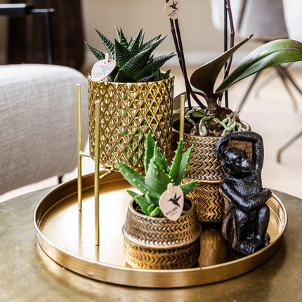 Dekoratives Tablett – Rundes goldenes Tablett Ø30cm – Metalltablett im luxuriösen Design – Vielseitiges Deko-Accessoire für Pflanzen, Kerzen & Wohndeko – Stilvolle Ablage für Wohnzimmer, Esstisch & Anrichte