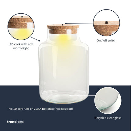 Terrarium Flasche – Geschlossene Glasflasche mit Korken & LED-Beleuchtung – Höhe 24,5cm Ø17cm – Dekoratives Pflanzenterrarium aus Recyclingglas