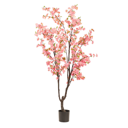 Kunstpflanze Kirschblüte – Prunus – Rosa – Höhe 210 cm – Täuschend echt – Dekopflanze für Wohnzimmer, Büro & Events – Pflegeleicht & langlebig