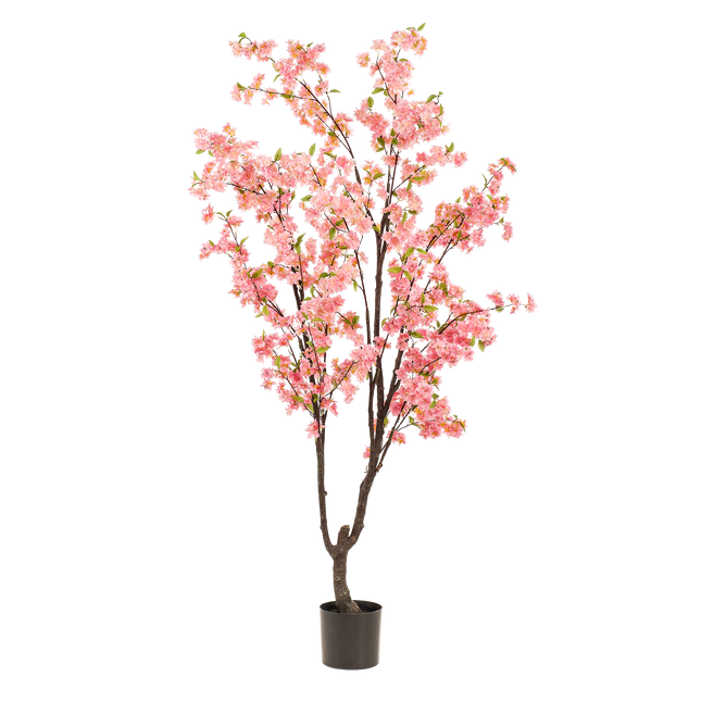 Kunstpflanze Kirschblüte – Prunus – Rosa – Höhe 210 cm – Täuschend echt – Dekopflanze für Wohnzimmer, Büro & Events – Pflegeleicht & langlebig