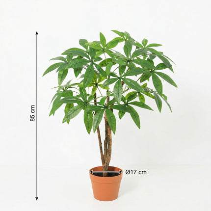Kunstpflanze Pachira Aquatica 86cm – künstlicher Glückskastanien – Baum im Topf