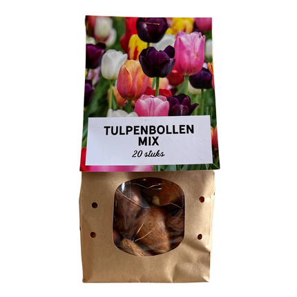 Tulpenzwiebeln Mix – 20 Blumenzwiebeln – Bunte Tulpenmischung für Garten, Topf oder Beet – Frisch vom Züchter – Pflegeleicht & mehrfarbig – Frühblüher für Frühjahr