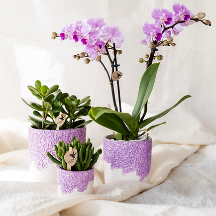 Ziertopf Bloom Lila – Blumentopf Ø12cm – Eleganter Übertopf mit Blütenstruktur – Design Pflanztopf in Violett für Zimmerpflanzen Kräuter & Deko