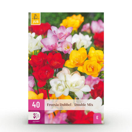 Blumenzwiebeln Freesia Double Mix – 40 Blumenzwiebeln – Duftende Sommerblumen mit doppelten Blüten – Bunte Mischung für Beet, Balkon & Terrasse – Pflegeleicht
