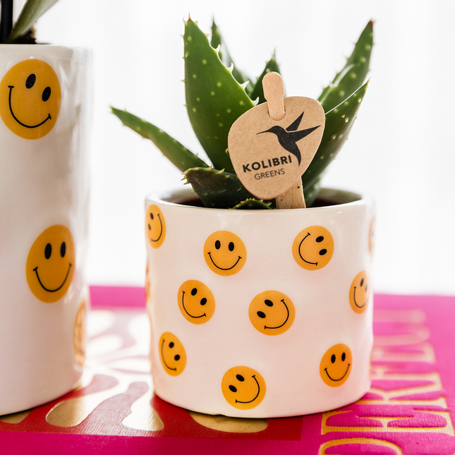 Smiley Übertopf Ø6cm – fröhlicher Mini Blumentopf mit gelben Smileys – Pflanztopf für Sukkulenten, Kakteen & Stecklinge