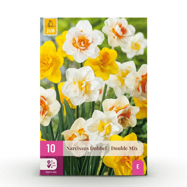 Blumenzwiebeln Narcissus Double Mix – Gelb & Weiß – 10 Stück – Zwiebelgröße 12/14 – Gefüllte Narzissen für Garten, Balkon & Terrasse – Frühjahrsblüher