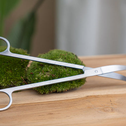 Lange Terrarienschere – Edelstahl – 25cm – Präzisionsschere mit gebogener Klinge – Rostfreie Aquascaping & Pflanzenpflege – Schere