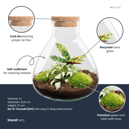 Flaschengarten Sammie DIY – Pflanzenterrarium im Glas mit Korkdeckel – Mini – Dschungel im Glas Ø22,5×H27cm – inkl. Calathea & Moos