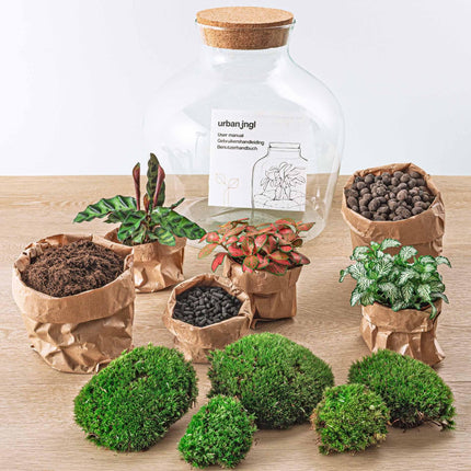 Flaschengarten DIY Bausatz – Terrarium Fat Joe Rot – Ø29cm x ↕30cm – Selbstversorgendes Pflanzterrarium mit Moosen & Zimmerpflanzen
