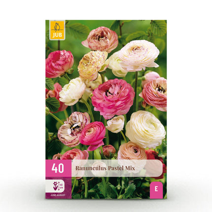 Blumenzwiebeln Ranunculus Pastel Mix – 40 Blumenzwiebeln – Bunte Ranunkeln in Pastellfarben – Sommerblüher für Beet, Balkon & Terrasse – Pflegeleicht & lang blühend