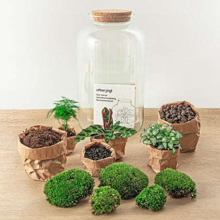 Flaschengarten Botanical Sven XL – DIY Bausatz Terrarium – ↕43cm – Do – It – Yourself Pflanzen – Set mit Korkdeckel – Autarkes Ökosystem