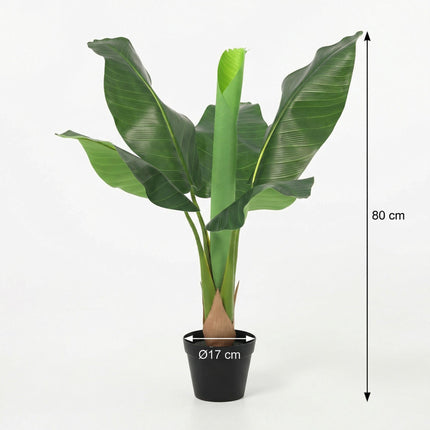 Kunstpflanze Bananenpflanze Musa 80cm – künstliche Banana Plant – realistische große Blätter & tropische Optik – pflegeleichte Grün