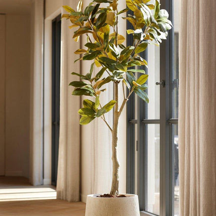 Magnolia Denudata – 150 cm Kunstbaum – Künstliche Magnolie Weiß – Pflegeleichte Deko für Zuhause & Büro