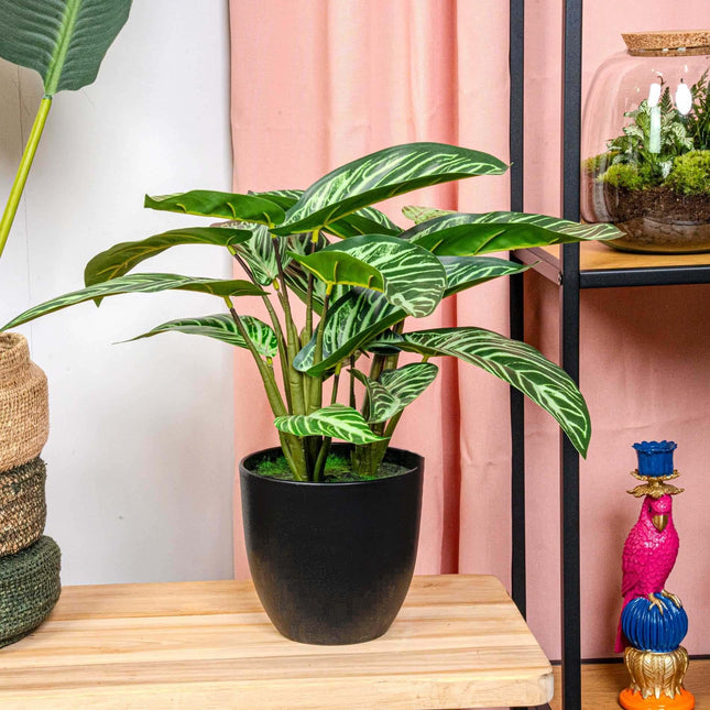 Calathea Zebrina – Korbmarante – Kunstpflanze – 42cm hoch – Schwarzer Topf Ø10–16cm – Realistisches Zebramuster – Pflegeleicht & dekorativ – Für Zuhause & Büro