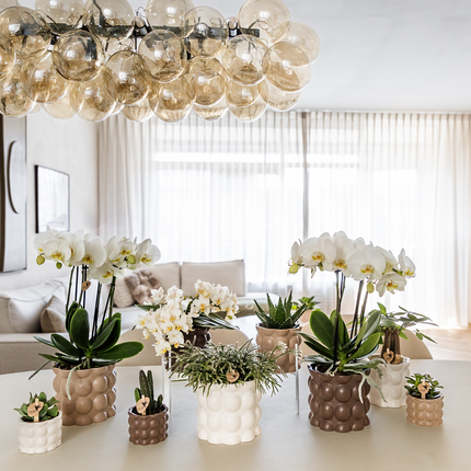 Ziertopf Cotton – Braun – Ø9cm – Blumentopf mit matter Oberfläche – Pflanztopf aus der Slow Living Kollektion – Für kleine Pflanzen & Orchideen