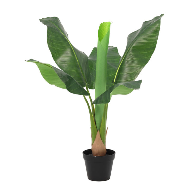 Kunstpflanze Bananenpflanze Musa 80cm – künstliche Banana Plant – realistische große Blätter & tropische Optik – pflegeleichte Grün